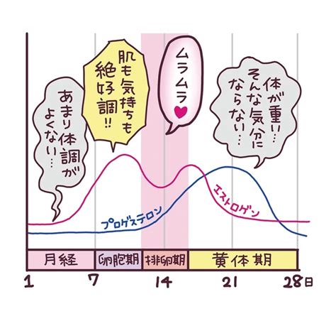 生理 終わりかけ 性欲|生理後は性欲が強くなる？生理周期別の性に関する過ごし方を紹介